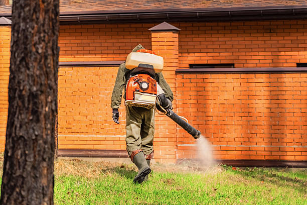 Trusted Cockroach Control service in Lebanon, PA - Nex Pest Control
